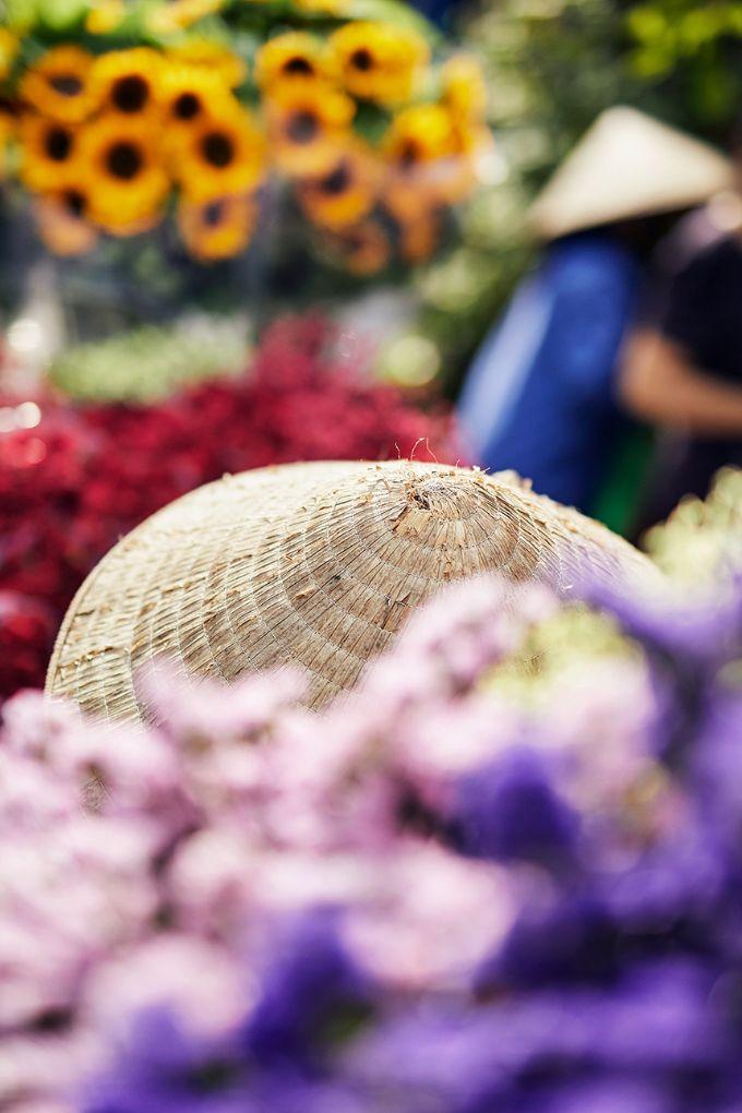 THE BEST TIMES TO GO ON A FAMILY HOLIDAY IN VIETNAM