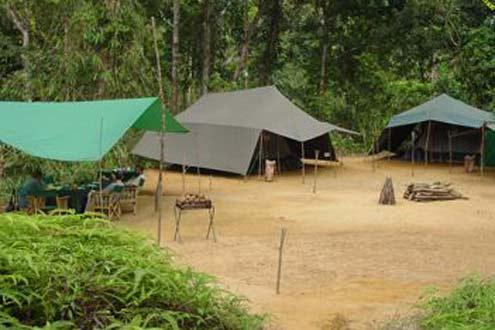 Mahoora Standard Camping