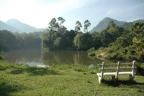 Plantation Hotel