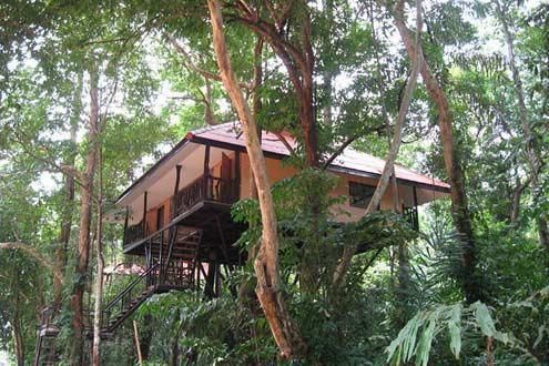 Khao Sok Tree Houses
