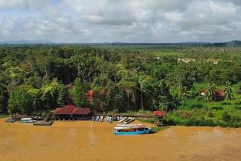 Abai Jungle Lodge