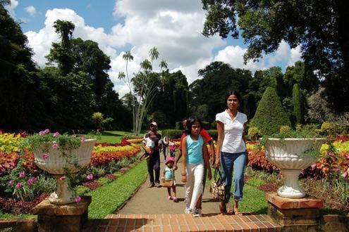 Peradeniya Botanical Gardens