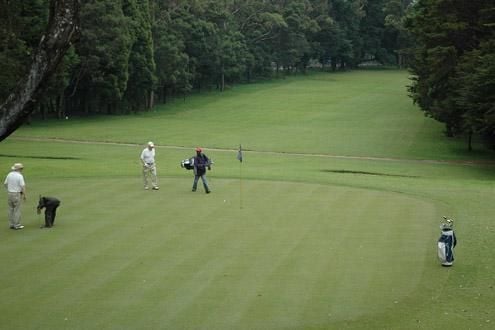 Golf, Nuwara Eliya