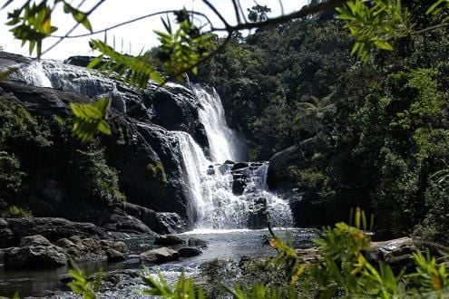 Horton Plains & Worlds End