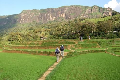 Walking in the Hills