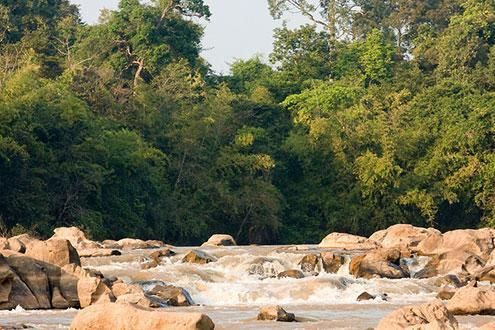 3 day/ 2 night gibbon trek at Nam Cat Tien