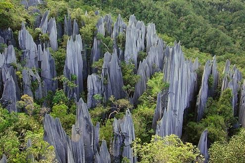 Gunung Mulu National Park