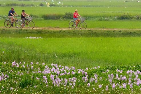 Countryside biking trails 