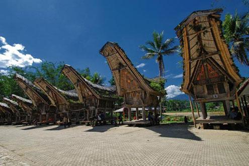 Toraja Village Walk And Funeral Ceremony