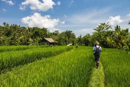 Country Walk with a Brahmin