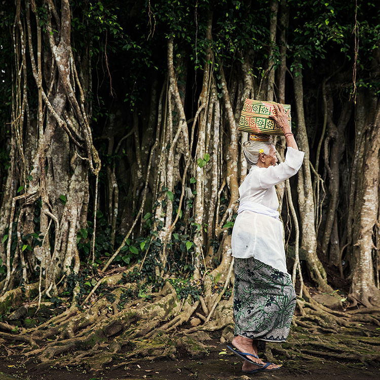 The Heart of Borneo - River Voyage & Beach