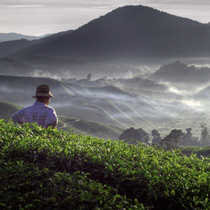 Boutique Experience Based Holidays In Asia Experience Travel Group Boutique Experience Based Holidays In Asia Experience Travel Group