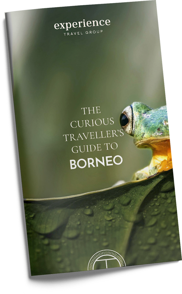 Travel Guide to Borneo