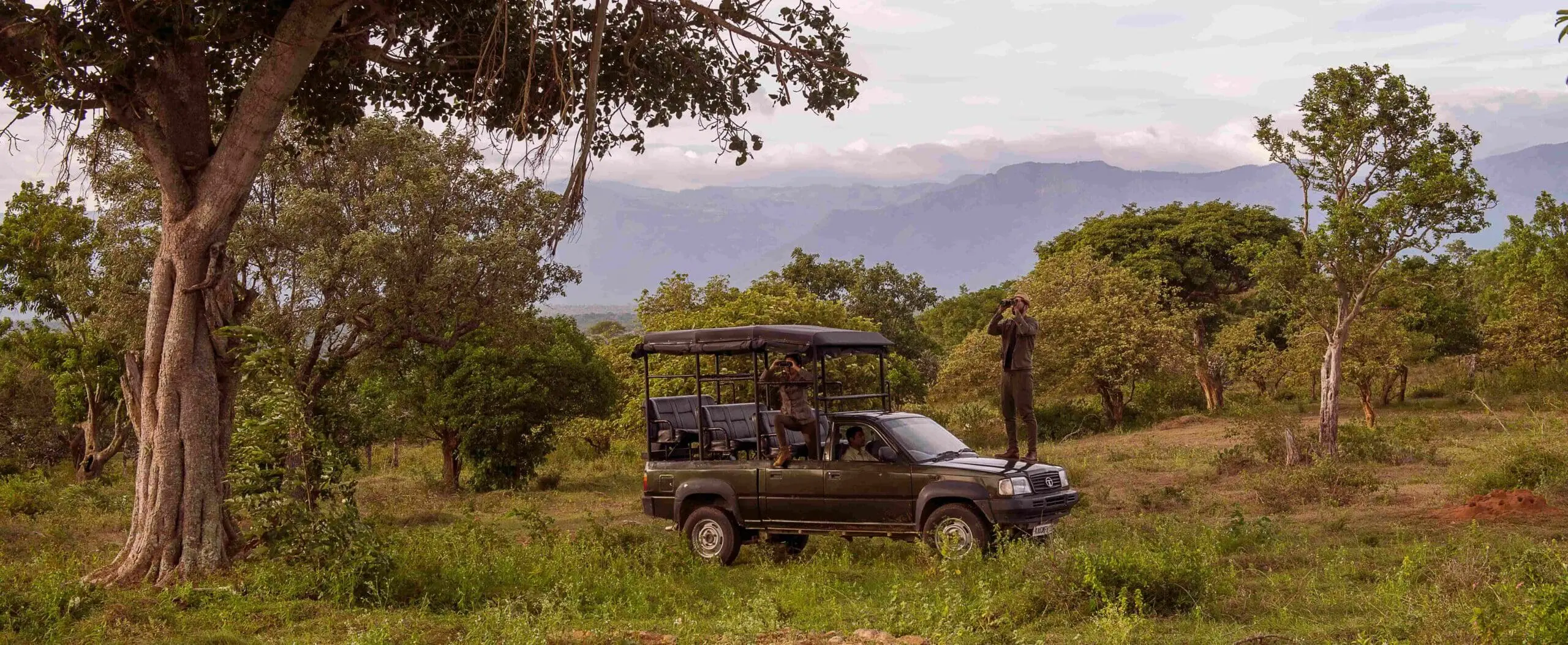 safari at serai bandipur