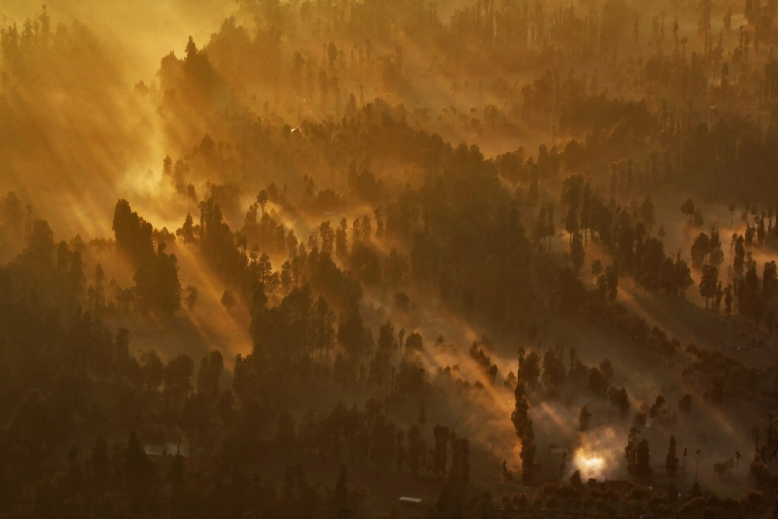 Plataran Bromo views