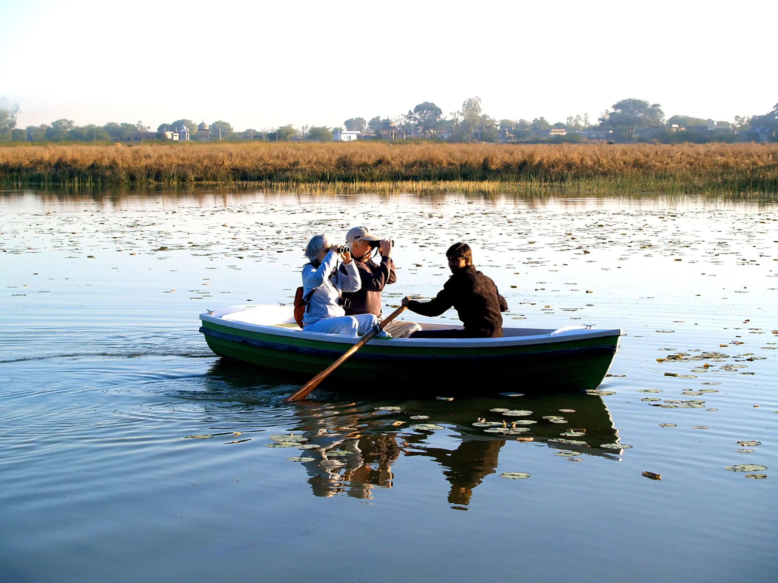 the lake by shahpura bagh