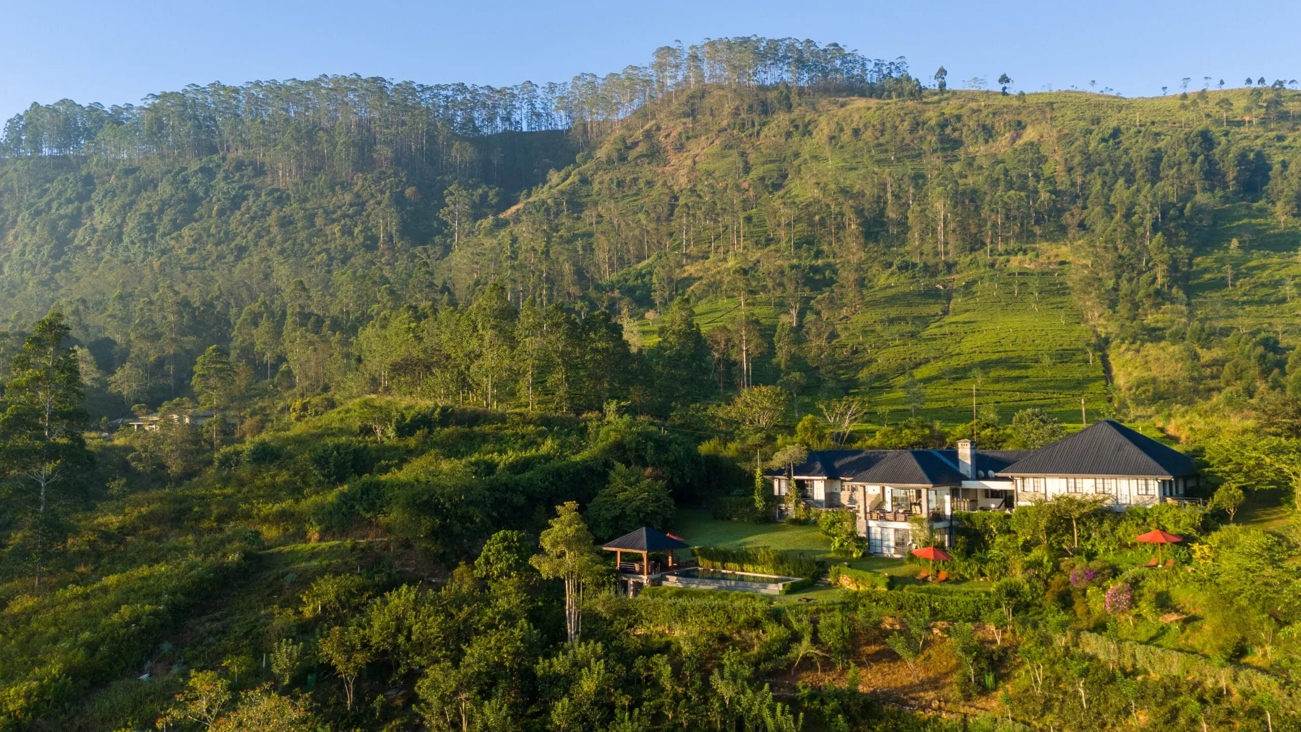 Camellia Hills lush valley views