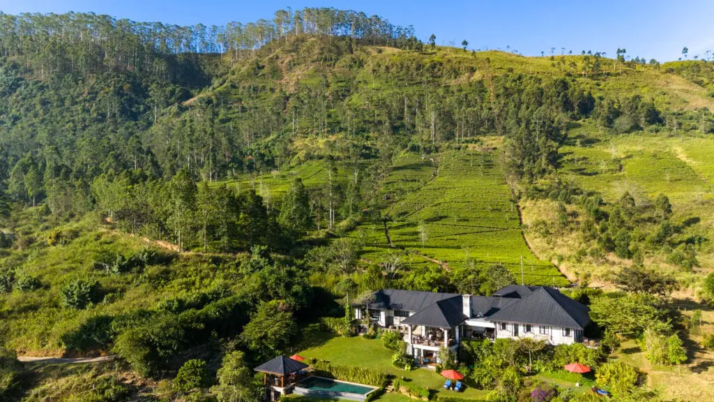 Camellia Hills view