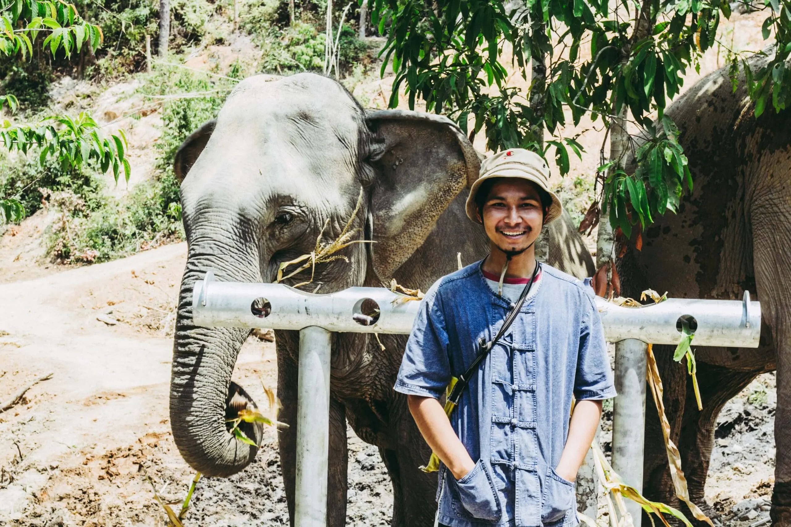 Elephant and his carer at ethical sanctuary Chang chill in Chiang mai