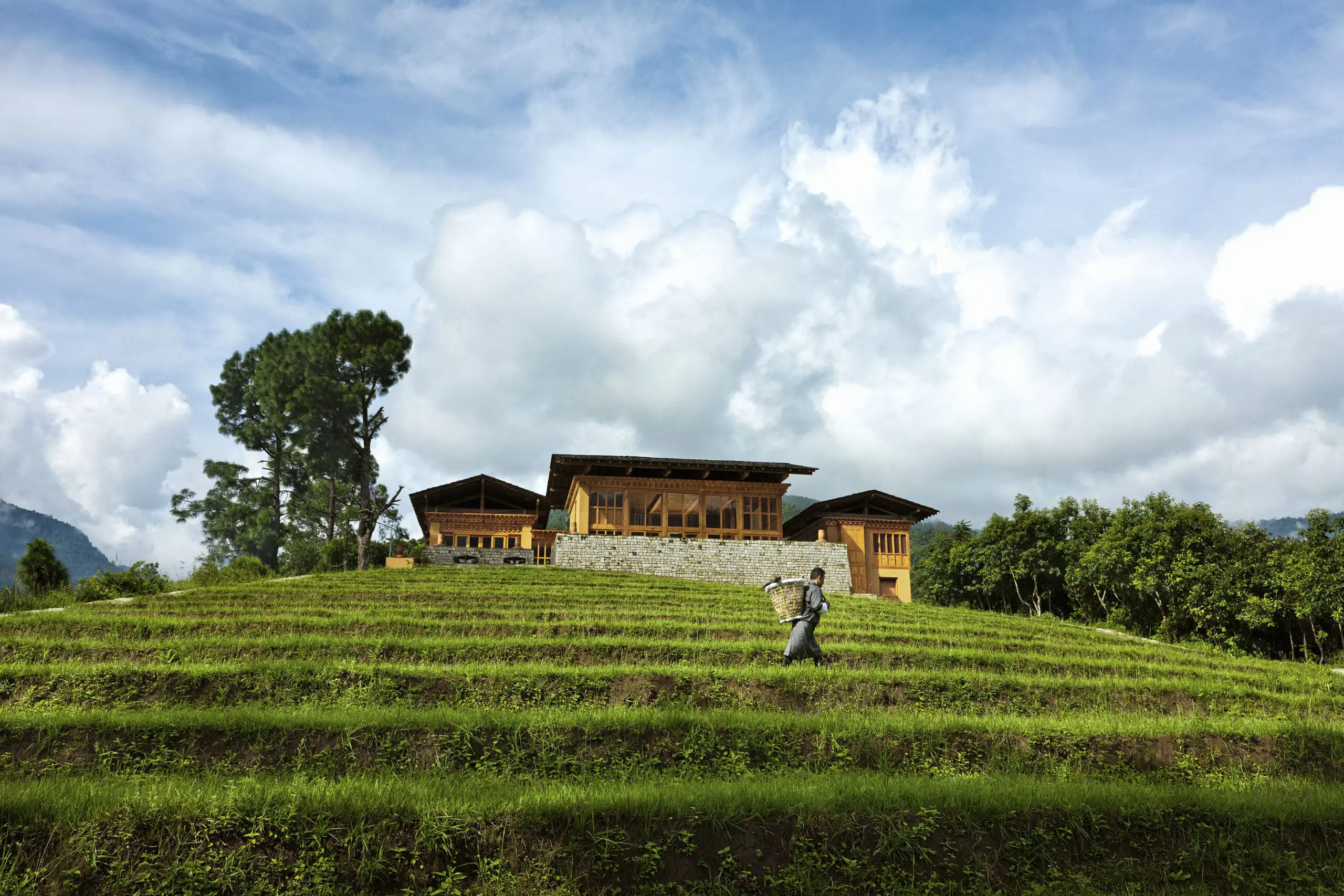Como Uma Punakha