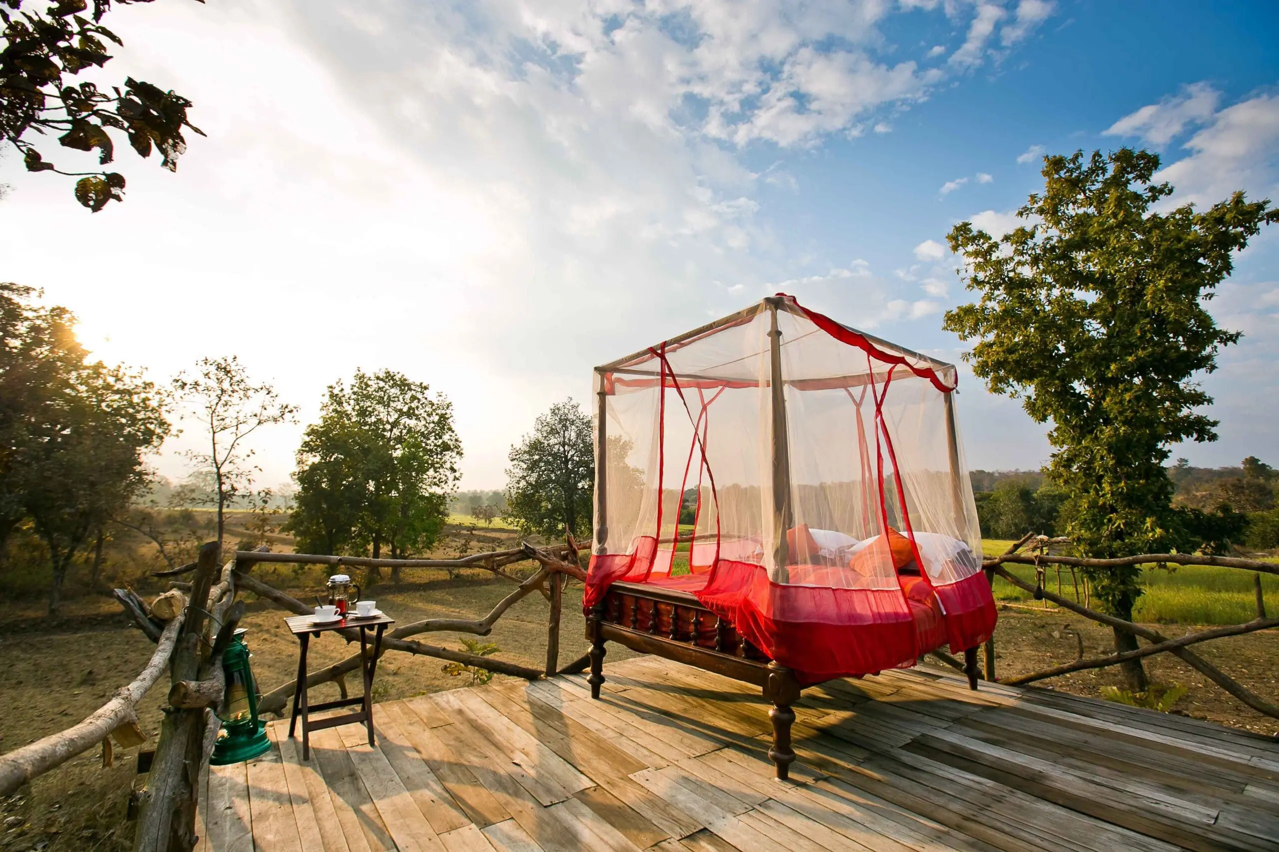 Machaan at jamtara wilderness camp