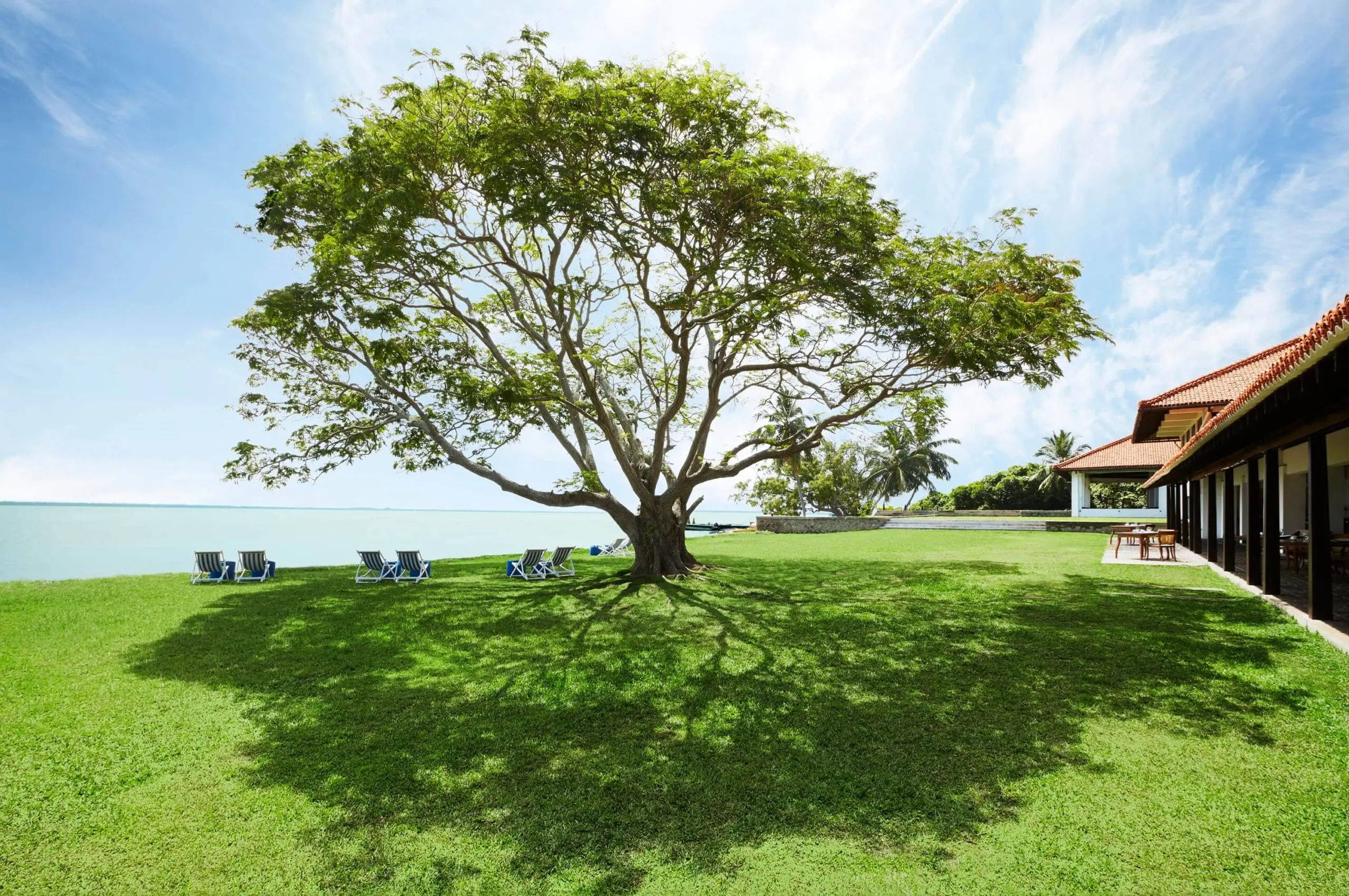 Gardens JEtwing Lagoon
