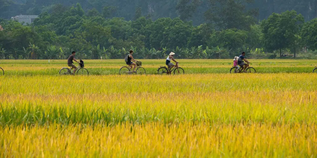Ninh Binh cycling