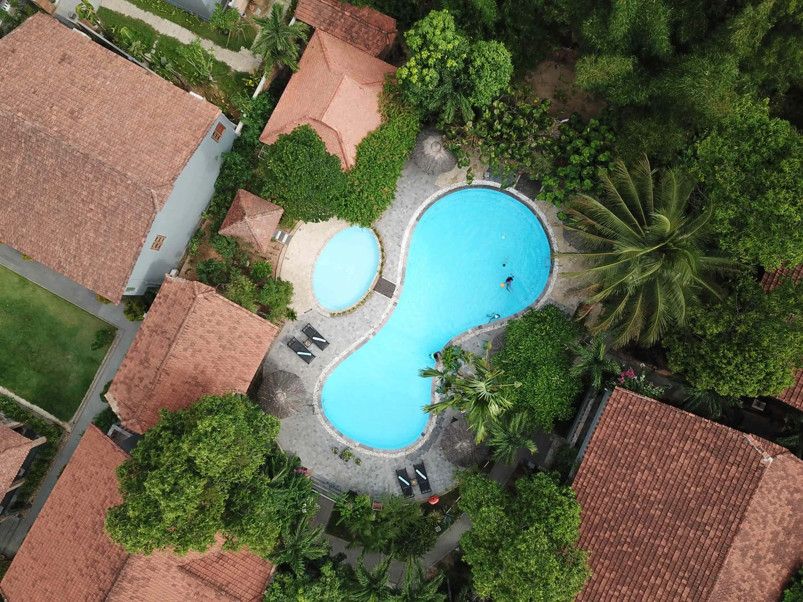 Peanut Pool Pilgrimage hue