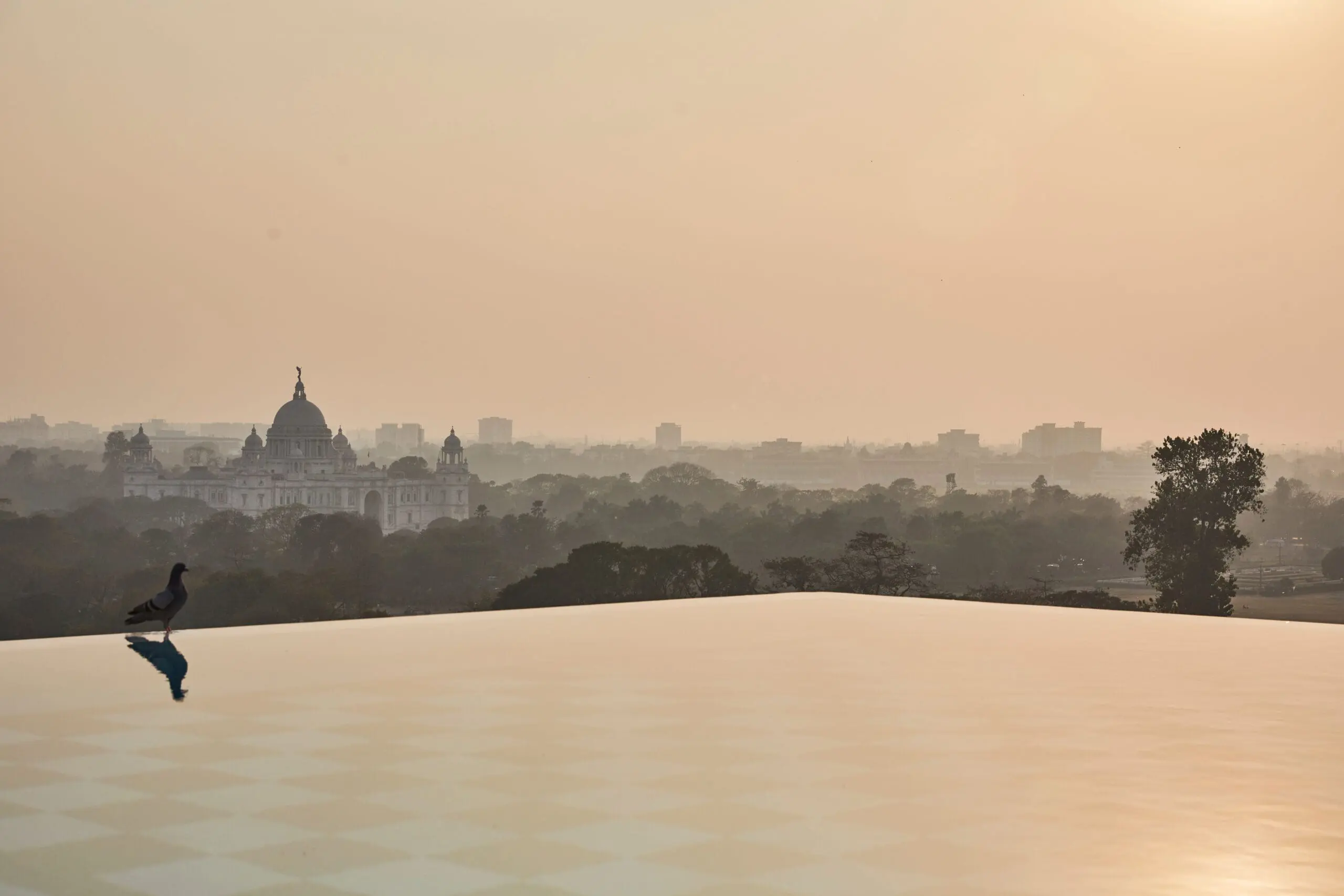 swimming pool at glenburn penthouse