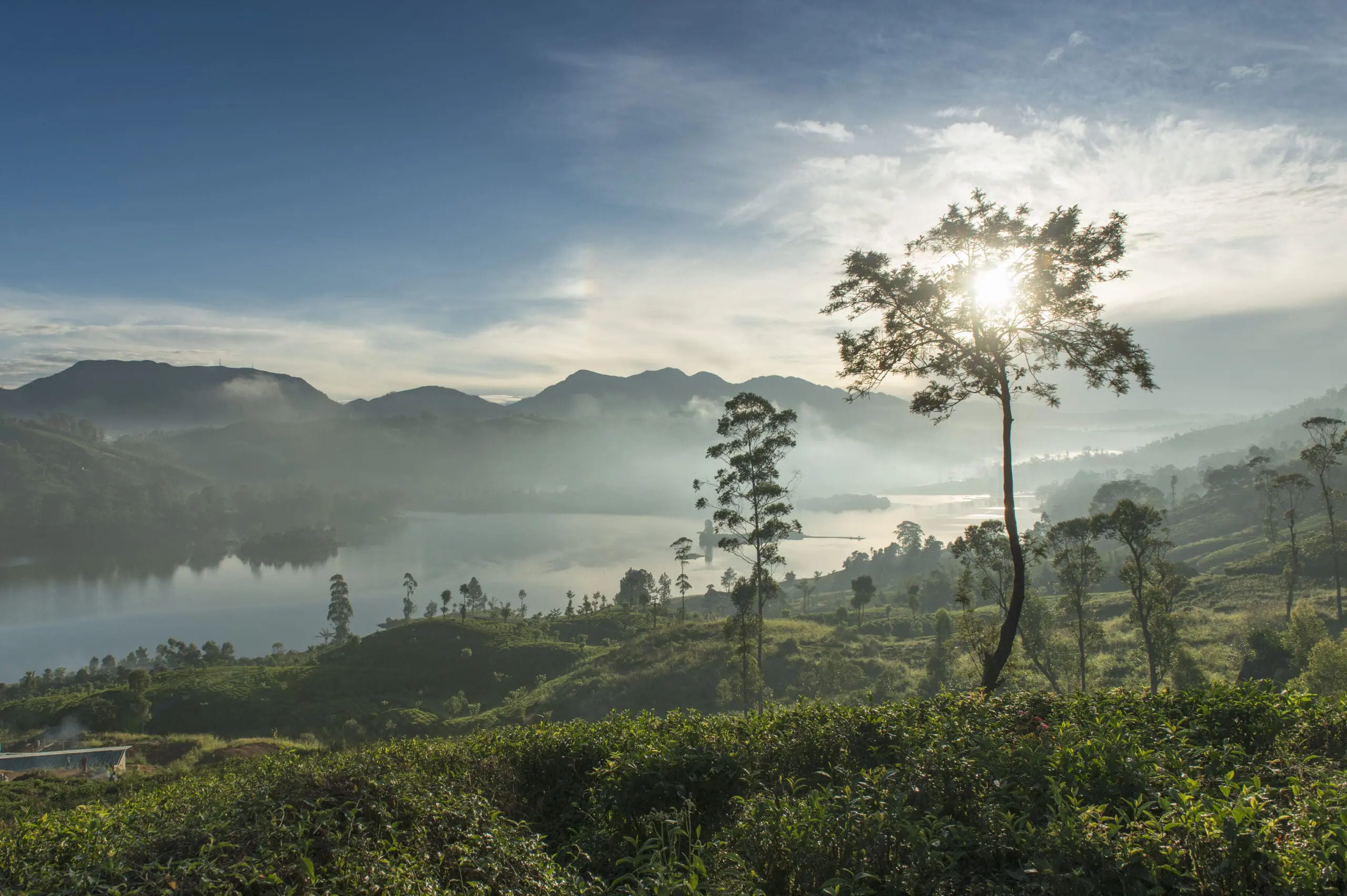 Tea Trails Sri Lanka 2014
