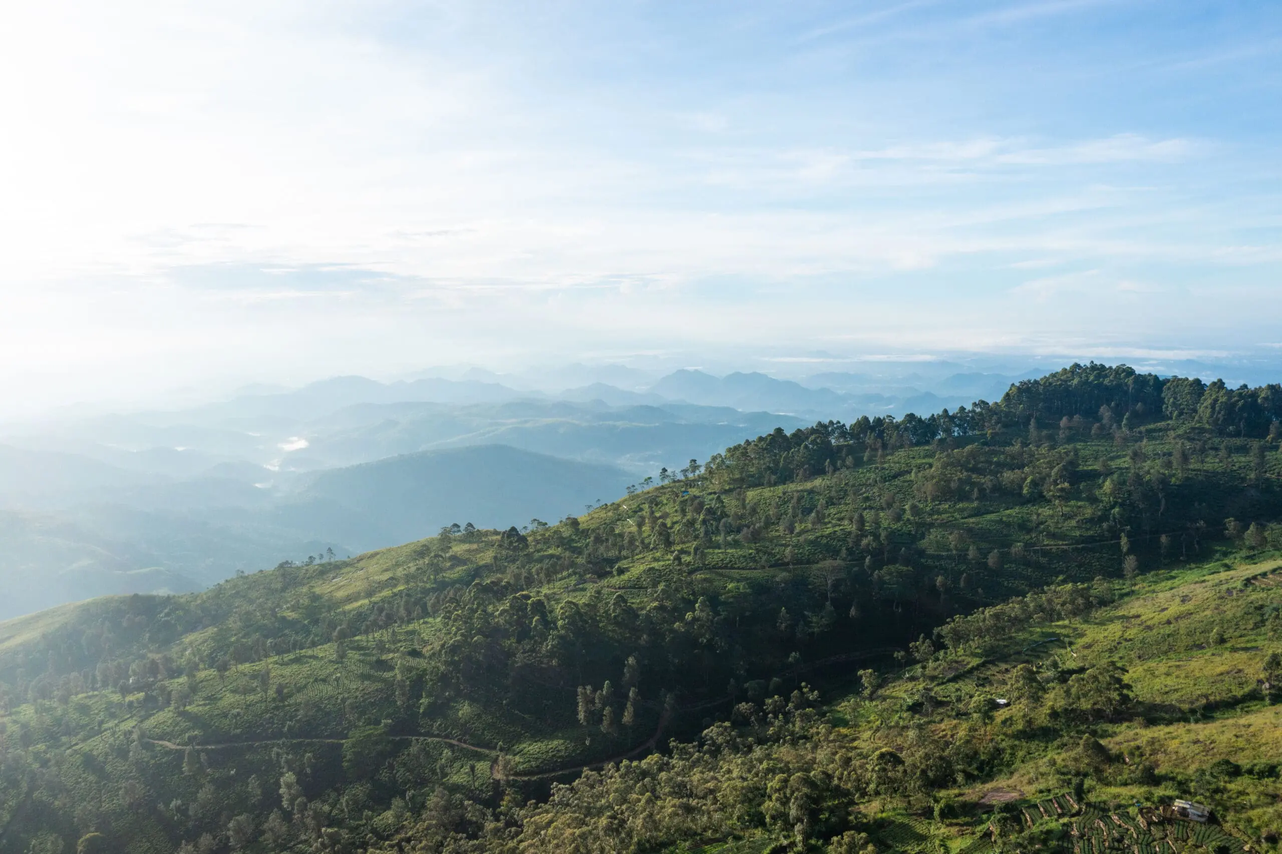 Thotalagala views