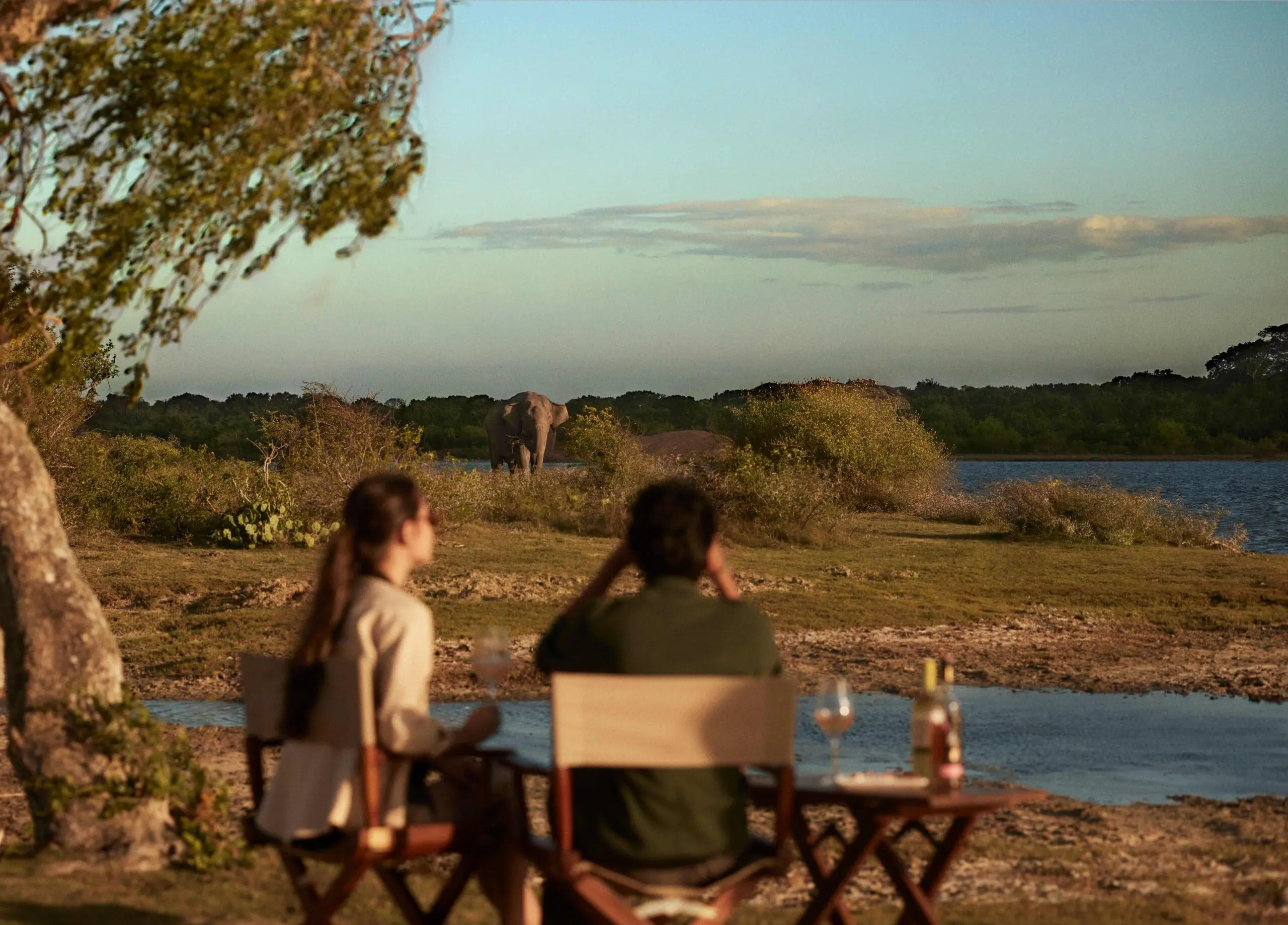 Honeymooners at UGA chena huts looking at an elephant
