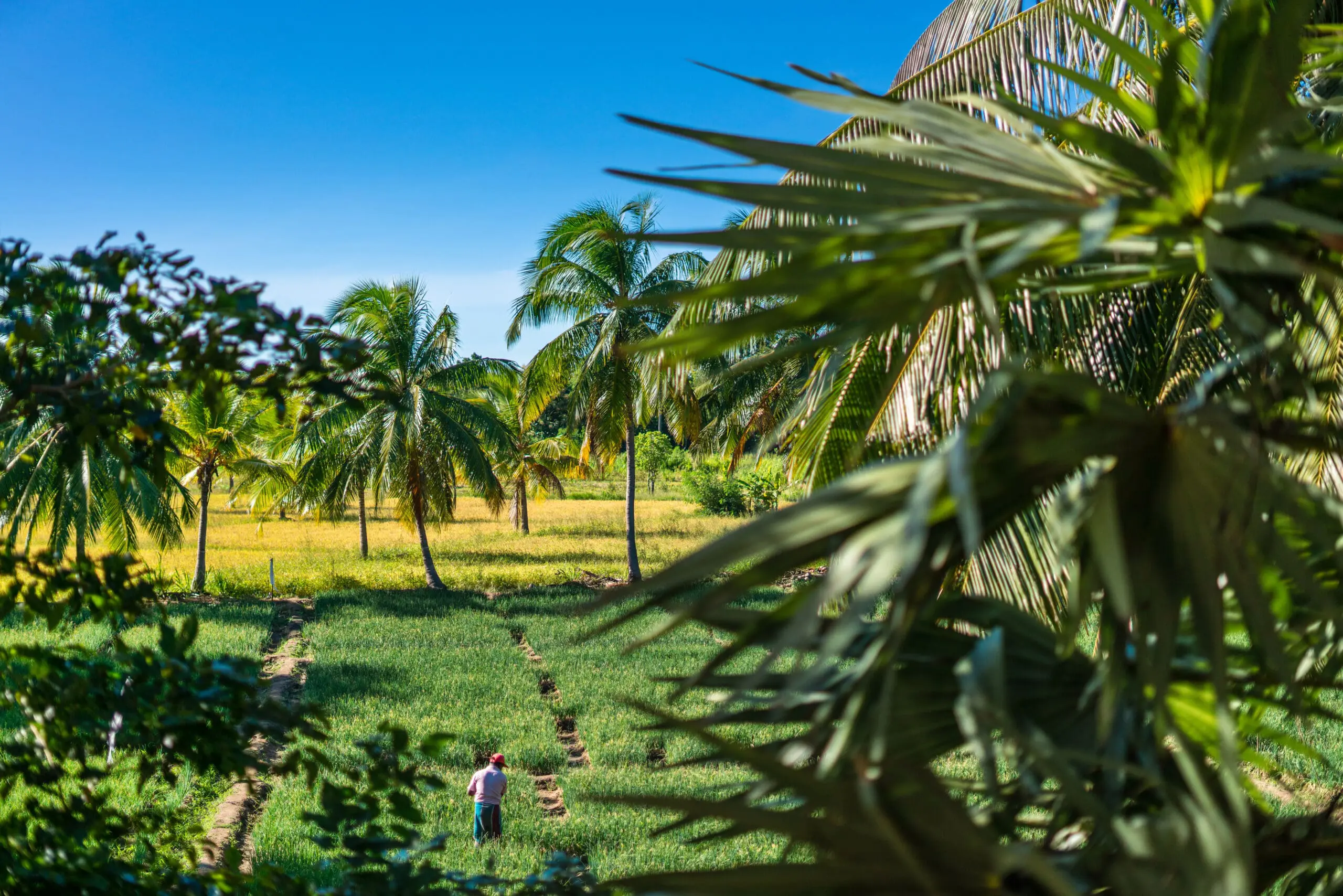 View from Superior room - Taru Villas Maia