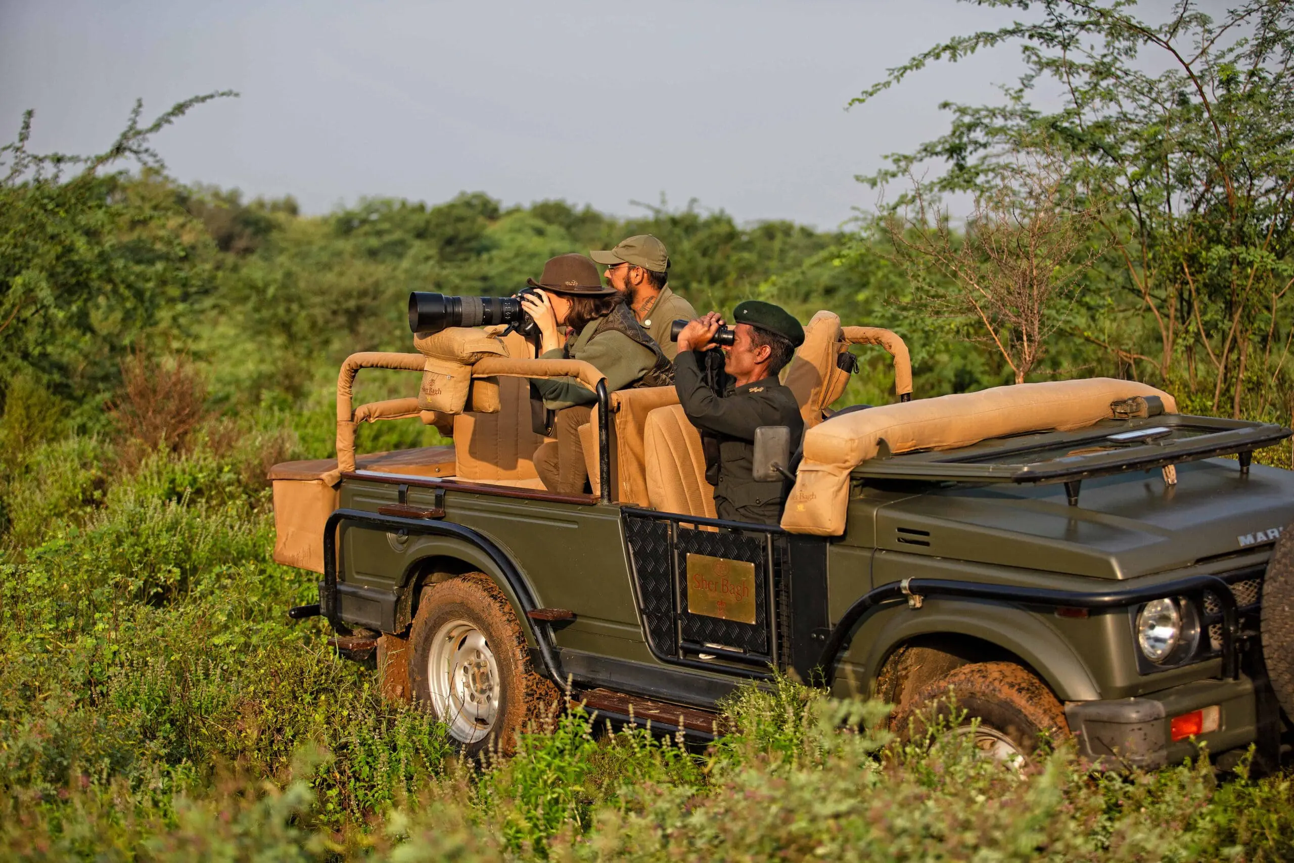 safari jeep at sher bagh