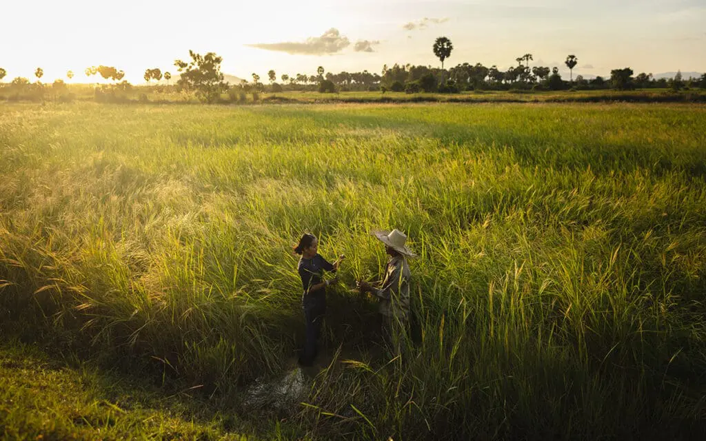 farmhouse cambodia