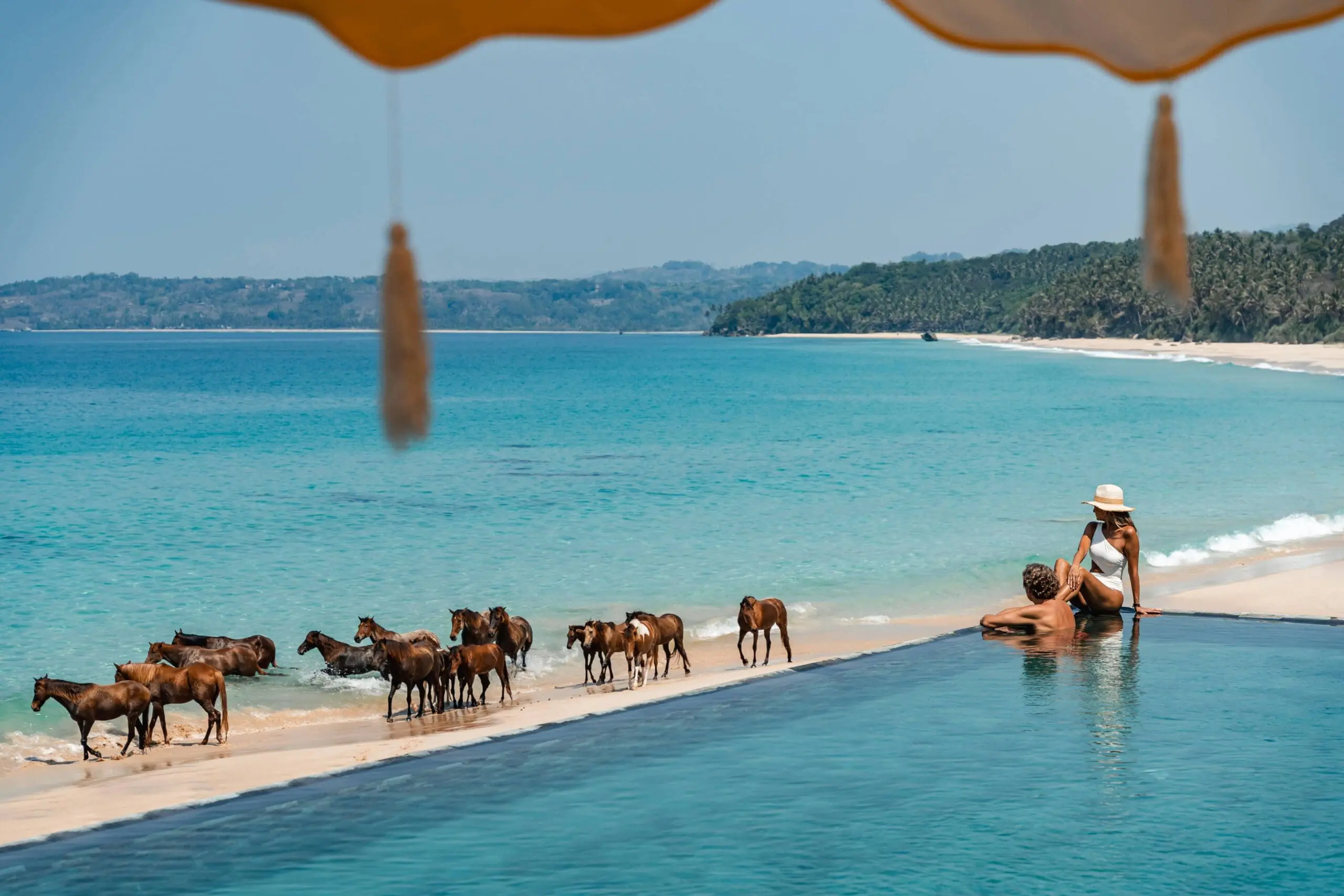 Couple in the pool at Nihi Sumba looking at horses on the beach