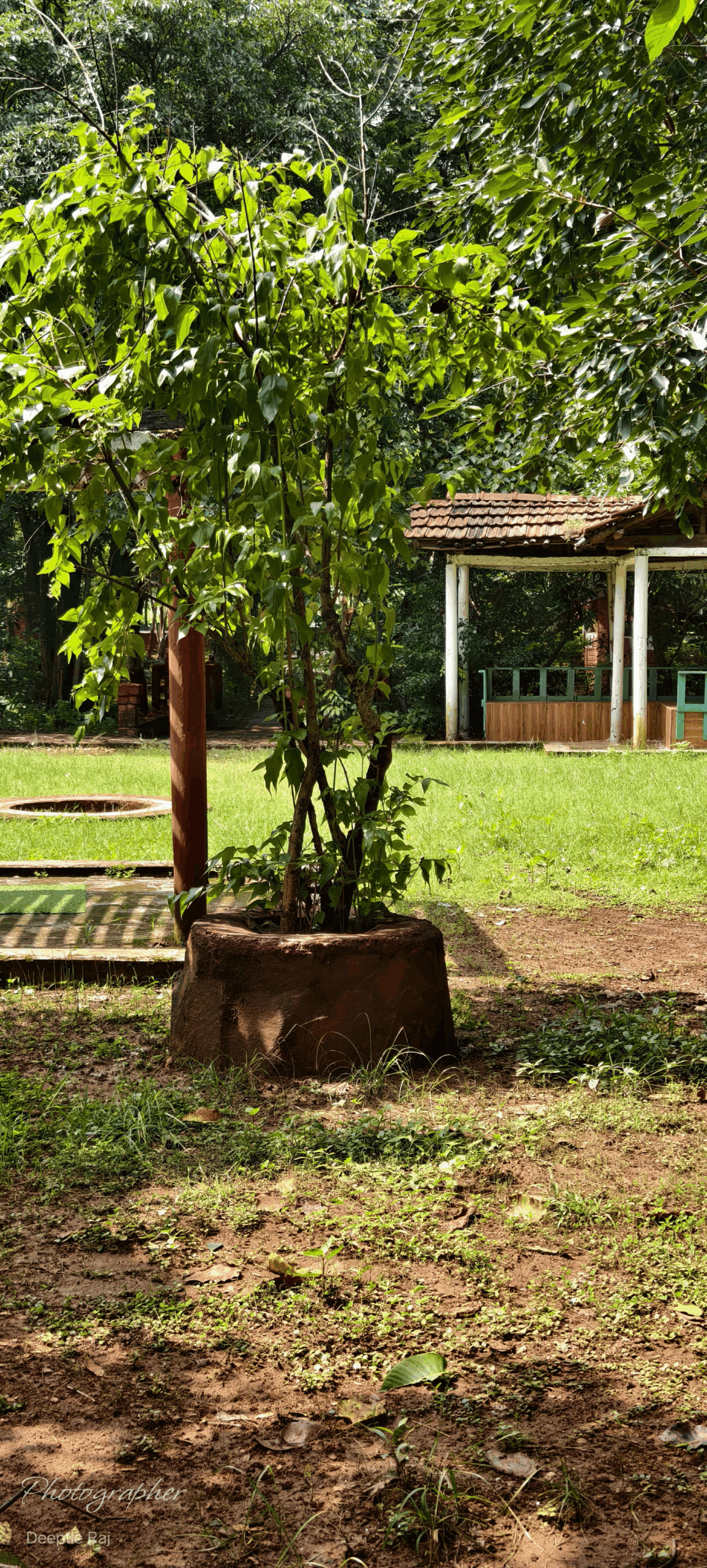 garden at bhoramdeo