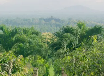 Lush jungle landscape view from Amanjiwo resort Indonesia near Borobudur