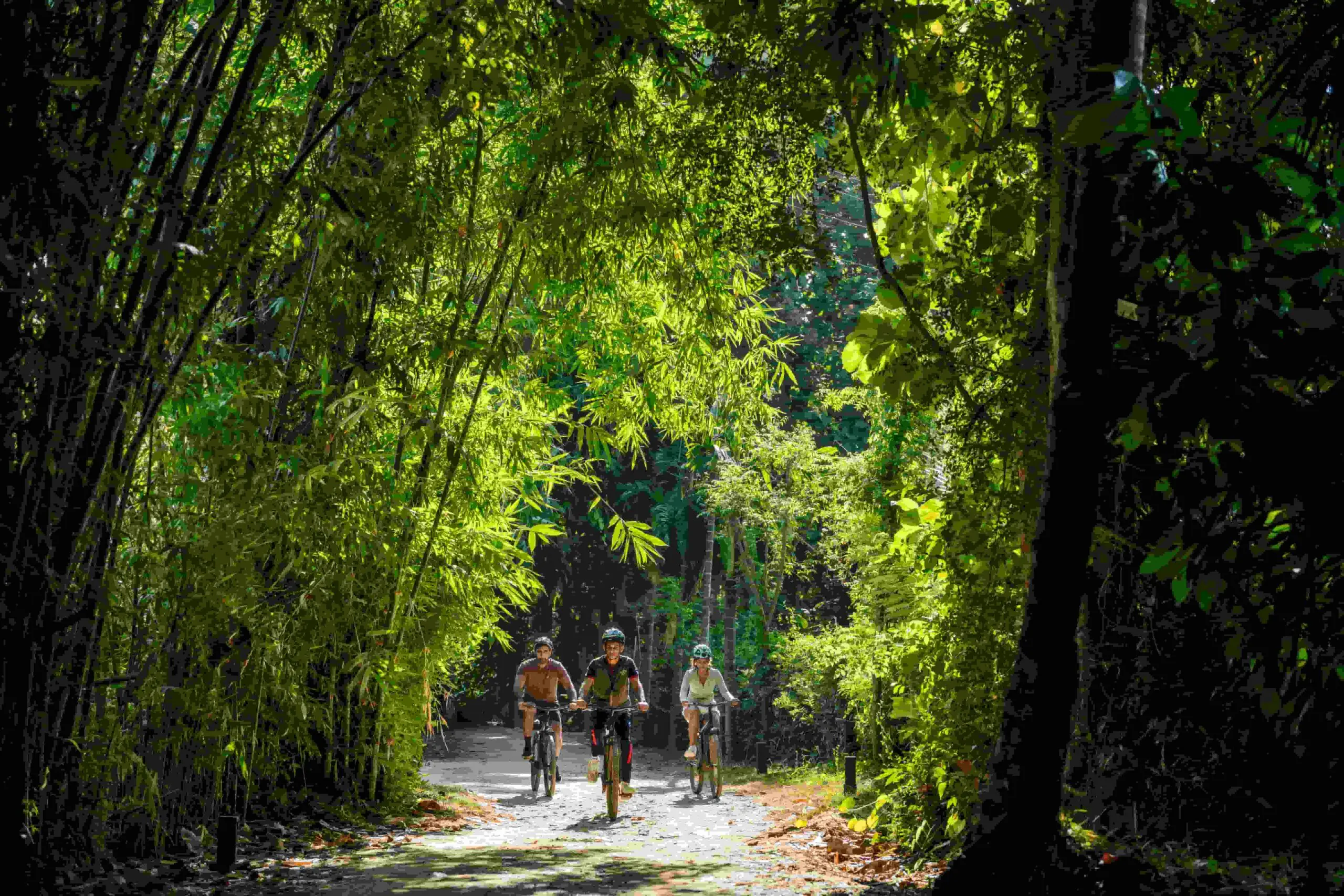 Guests cycling through shaded jungle path near Jetwing Kaduruketha in Sri Lanka
