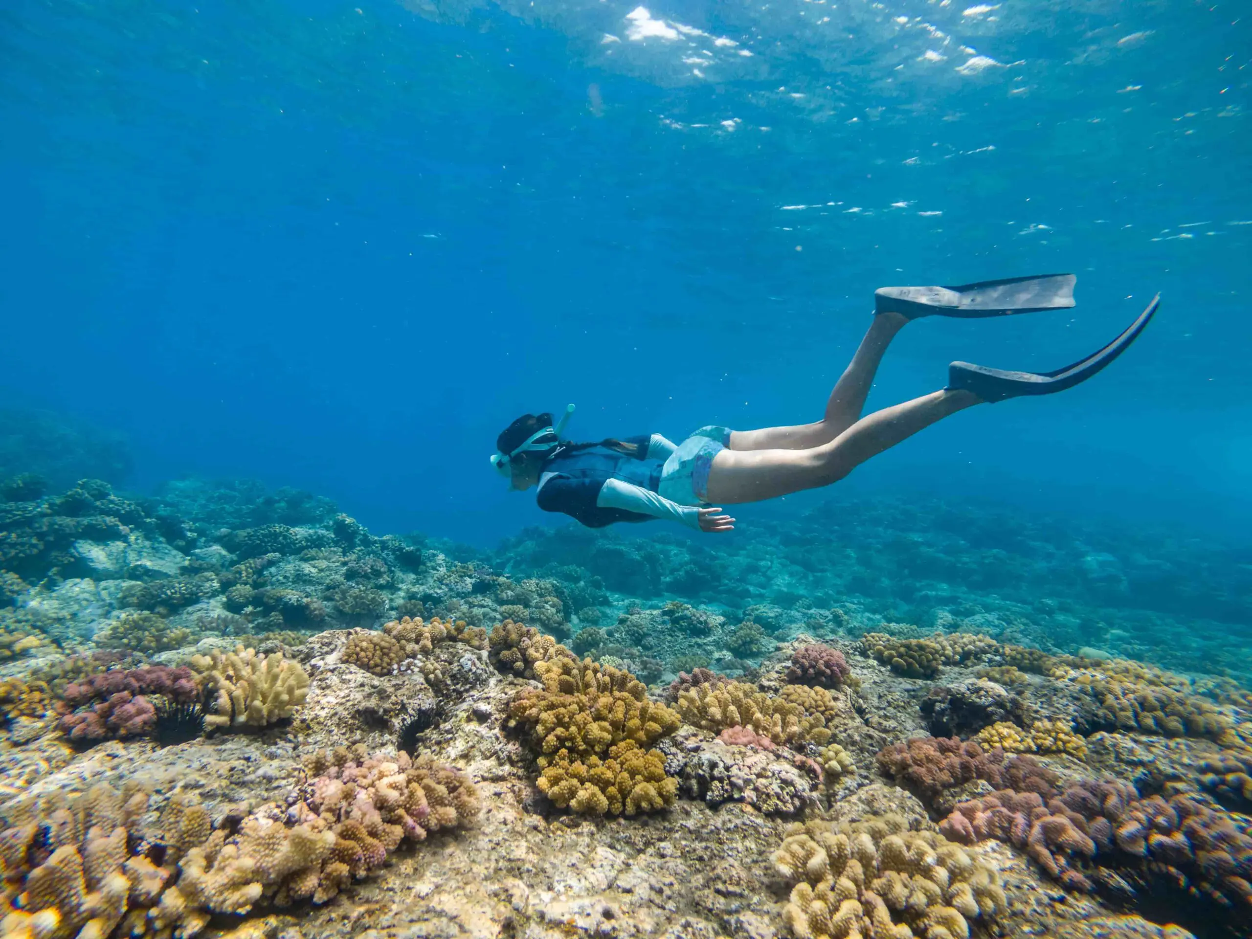 Snorkeller exploring colourful coral reef in clear blue waters off Sri Lanka