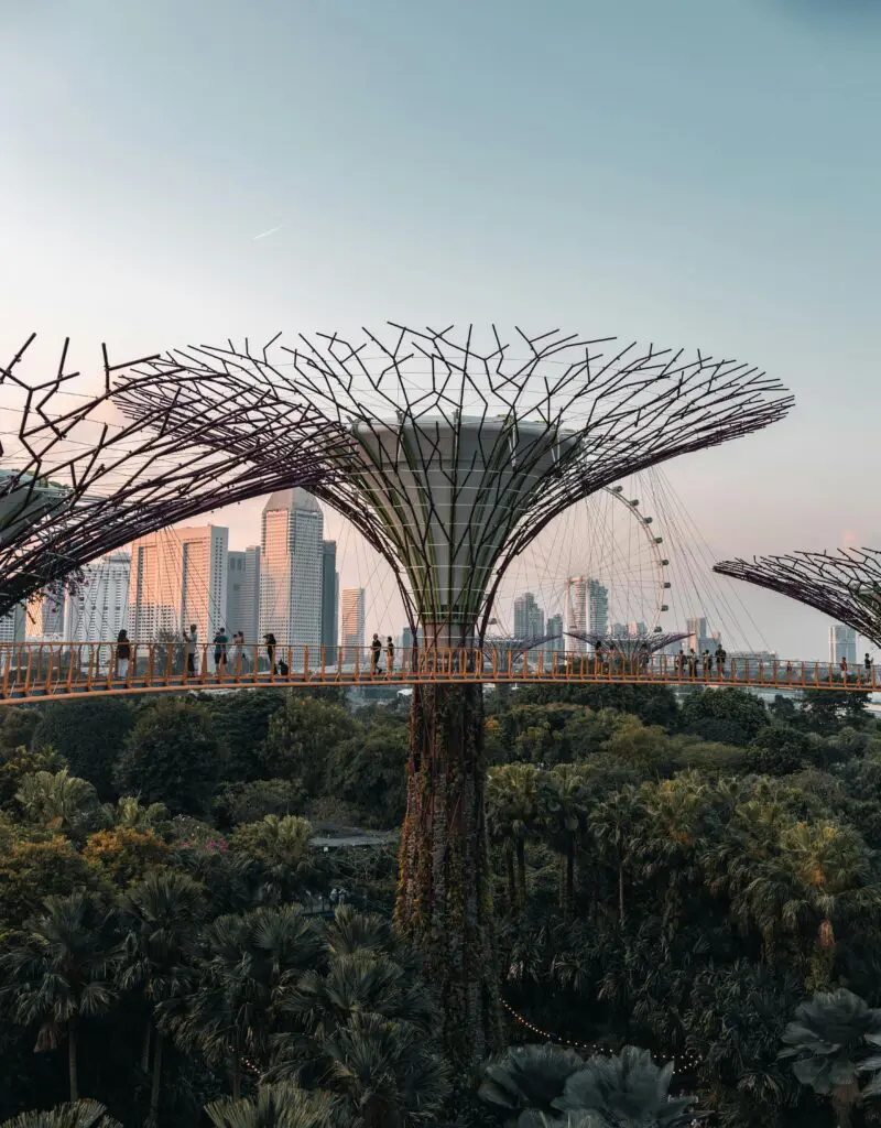 Singapore Botanical Gardens