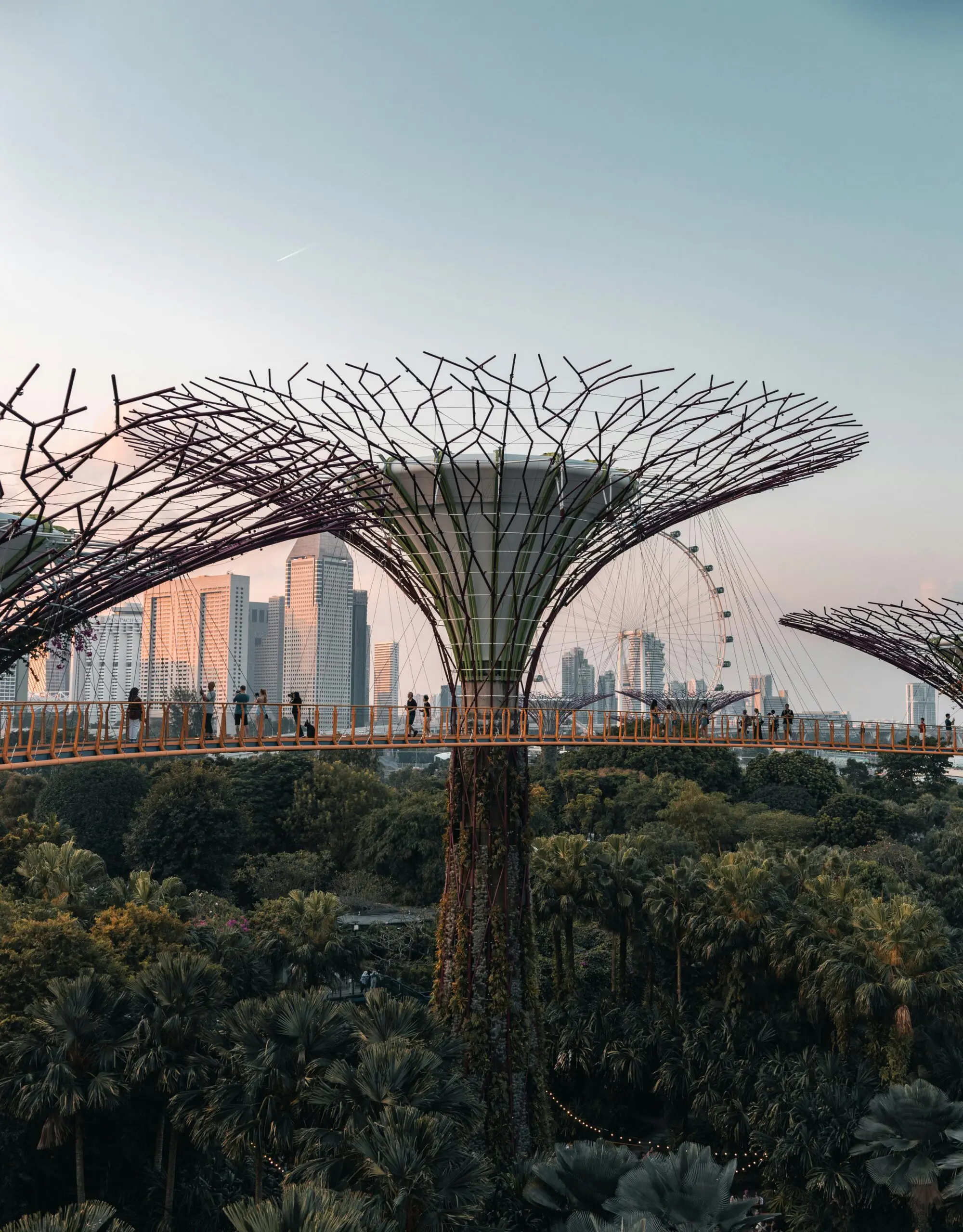 Singapore Botanical Gardens