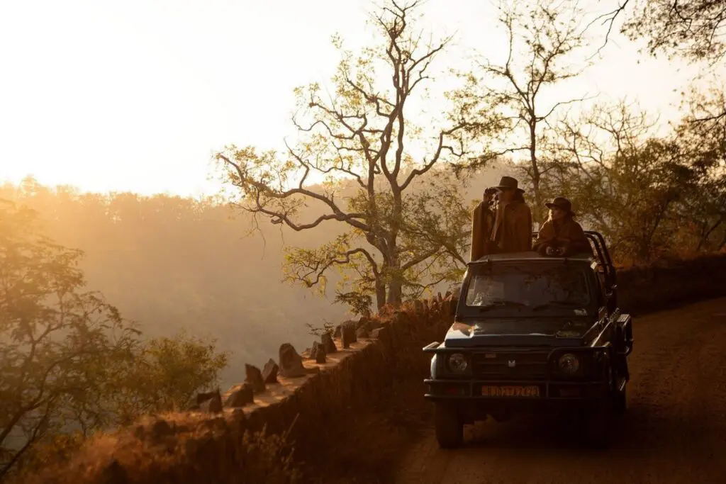 sunrise safari at sariska lodge