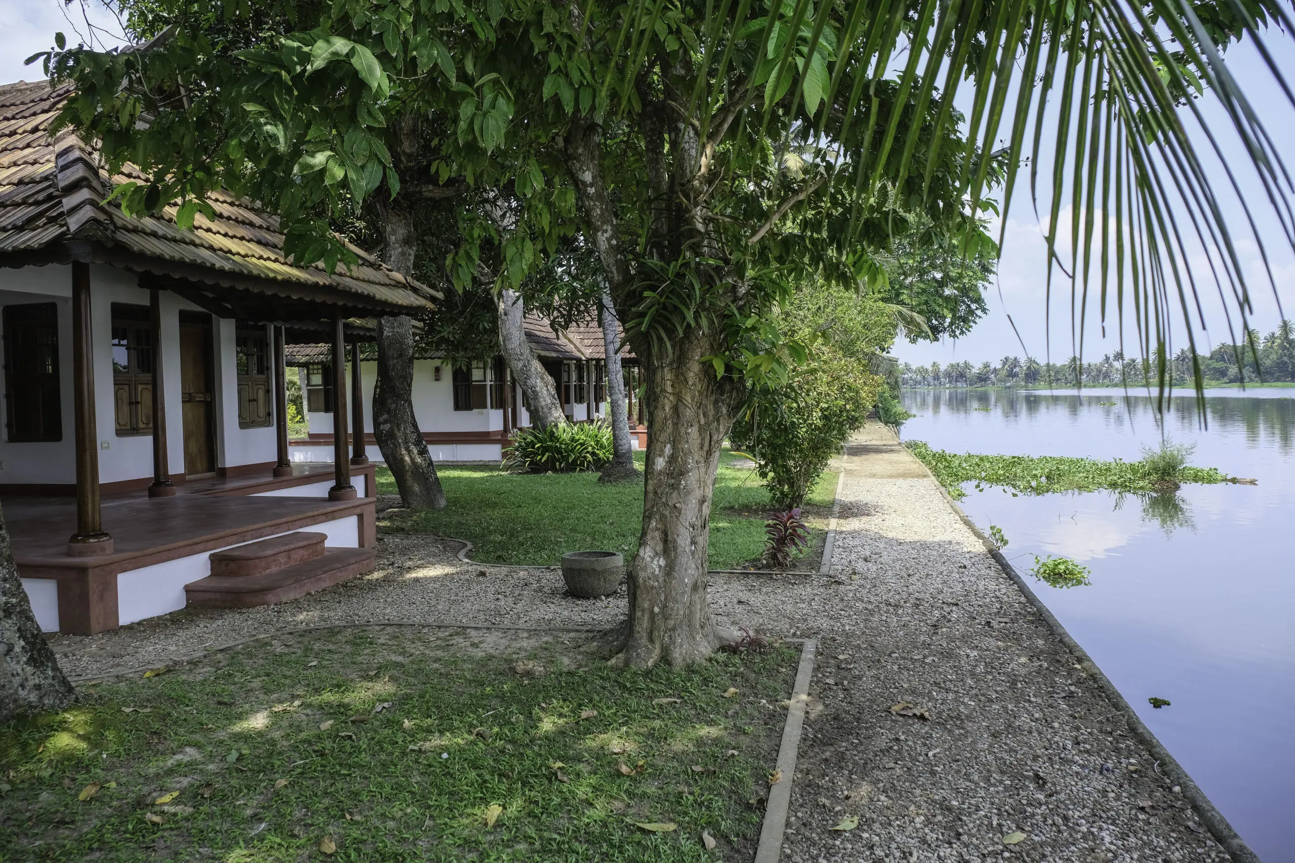 Phillipkutty's Farm