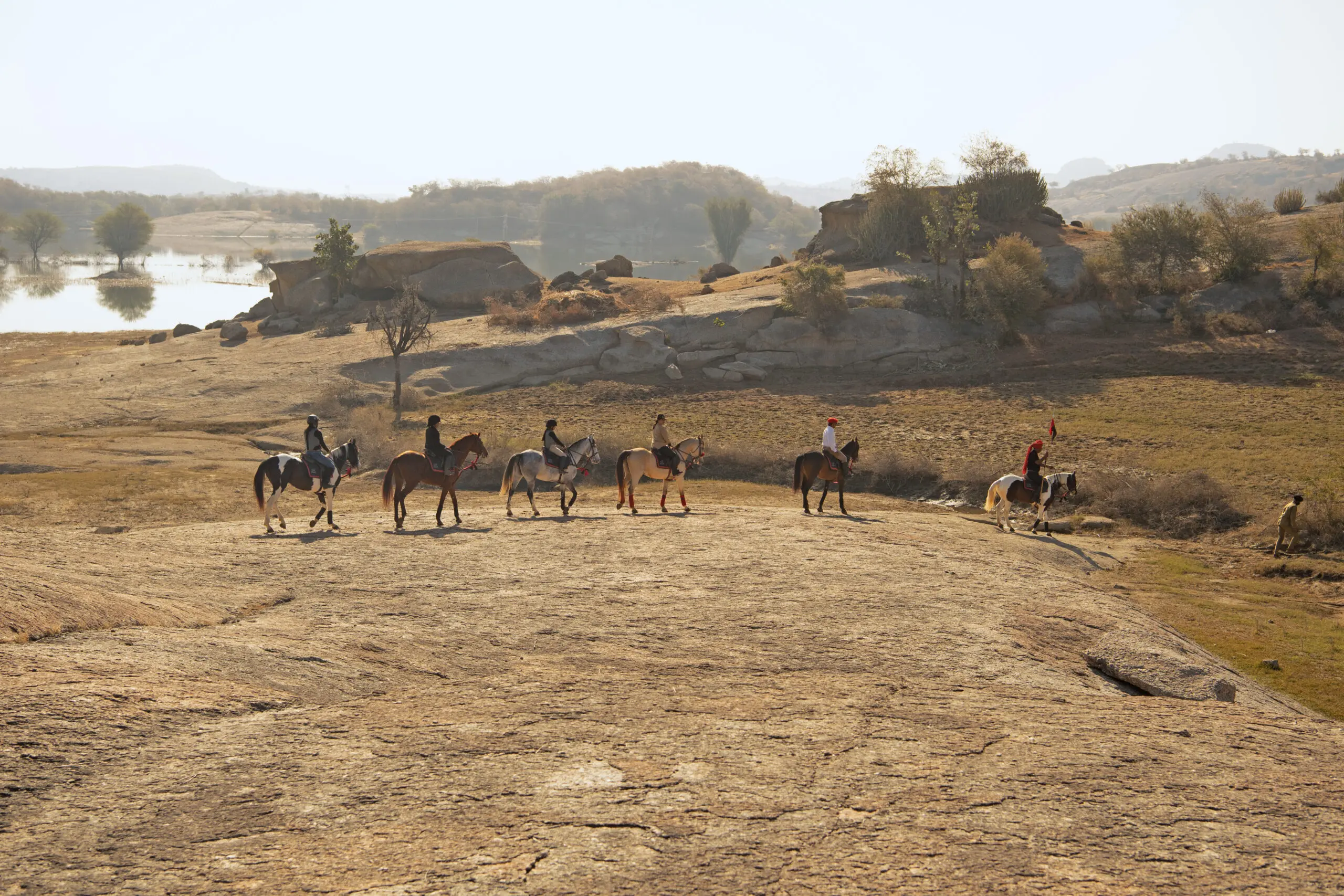 Sujan Jawai Leopard Camp
