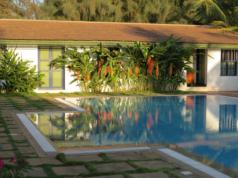 pool at the bangala