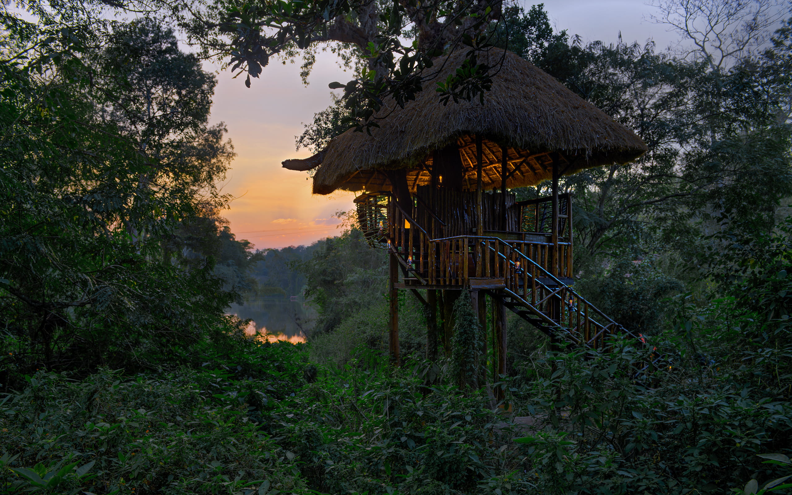 viewpoint at evolve back coorg