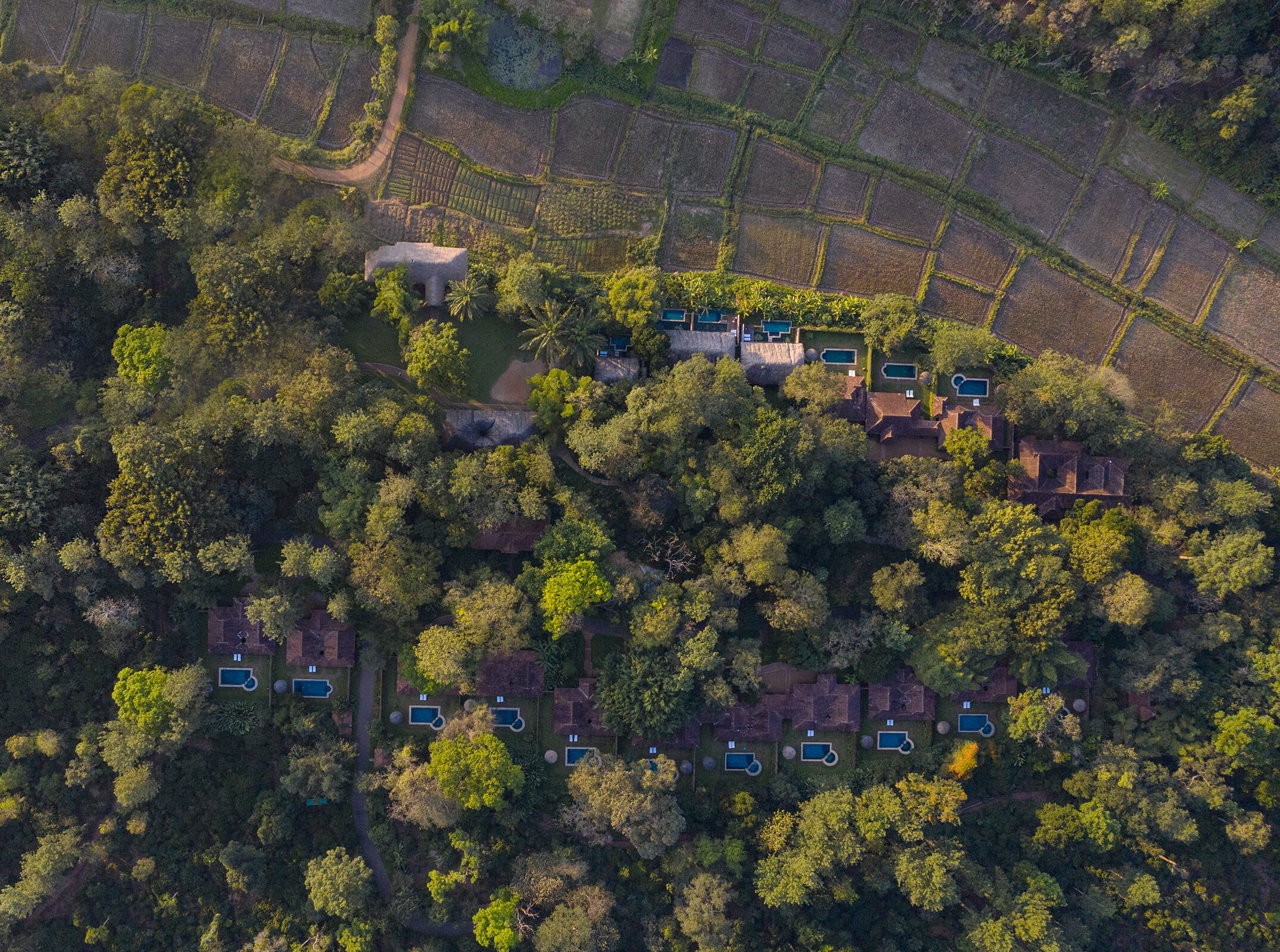 birdseye of evolve back coorg