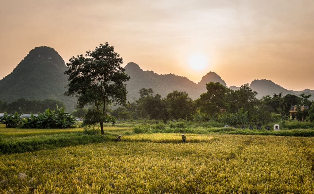 Ninh Binh-1121