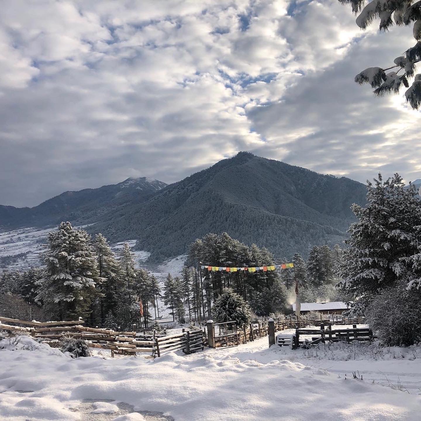 view from Dewachen, Gangtey